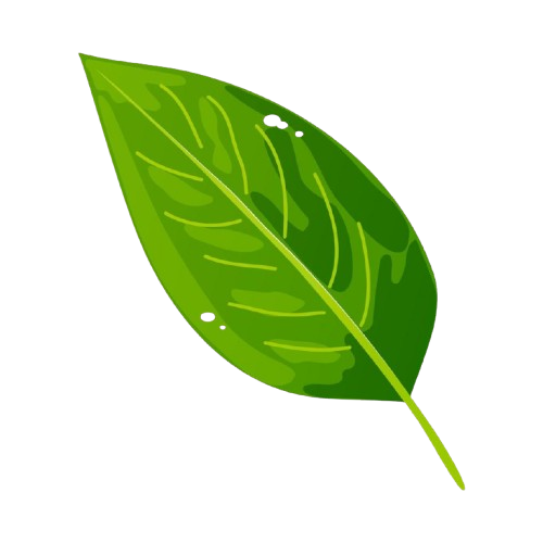 مواد محلية